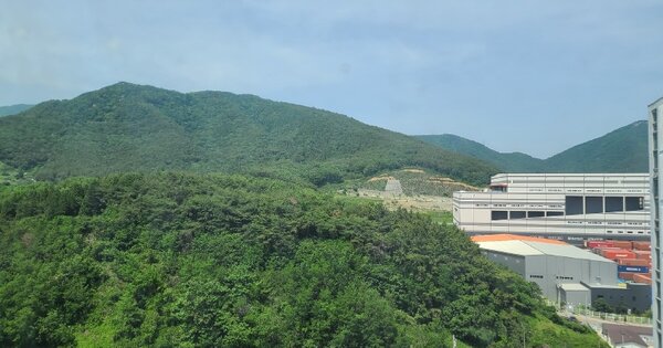 경상남도 창원시 진해구 두동 OOOO 임야 경매 물건 이미지
