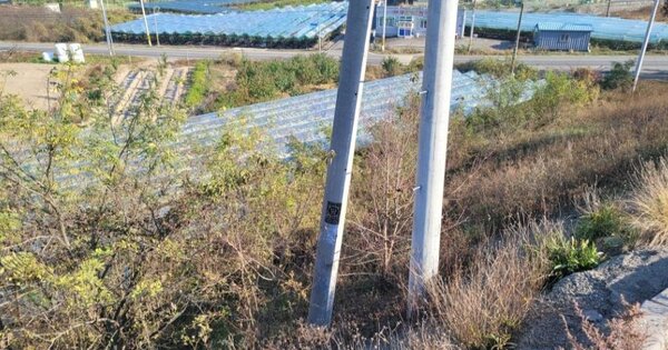 경상북도 영천시 금호읍 호남리 OOOOOO 임야 경매 물건 이미지