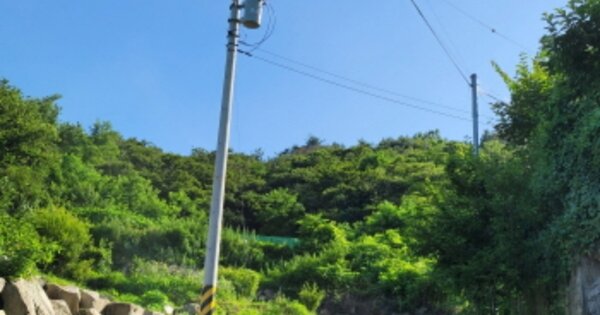 울산광역시 울주군 언양읍 다개리 OOOOOO 임야 경매 물건 이미지