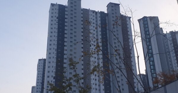 부산 강서구 명지동 3343, 206동 OOOOOOOO OOOOOOOOO OOOOOO OOOOOO 아파트 경매 물건 이미지
