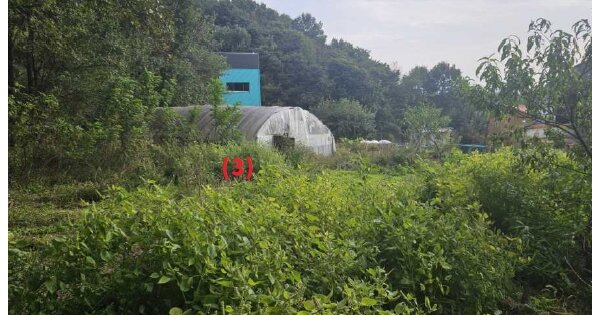 충청남도 천안시 동남구 수신면 장산리 OOOOO O OOO 대지 경매 물건 이미지