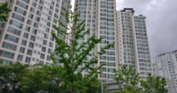 대구 동구 신서동 828, 107동 OOO OOOOO OOOOOOOOOOOOOO O OOO 아파트 경매 물건 이미지