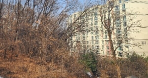 서울특별시 강남구 수서동 OOOOO 임야 경매 물건 이미지