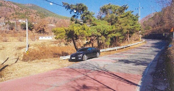 경상북도 칠곡군 지천면 창평리 OOO 임야 경매 물건 이미지