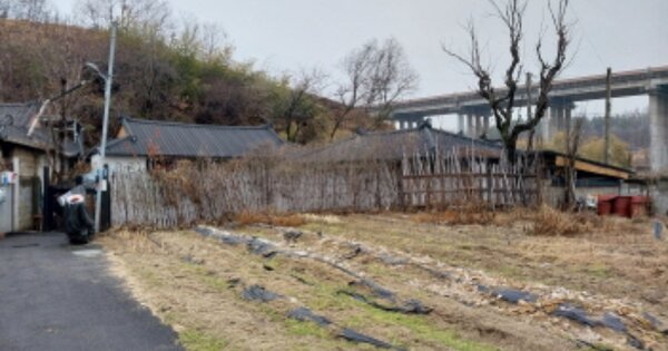 충남 금산군 부리면 불이리 OOO 단독주택 경매 물건 이미지