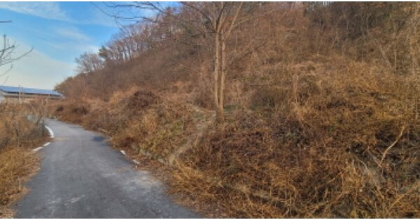 경상북도 영천시 완산동 OOO 전 경매 물건 이미지