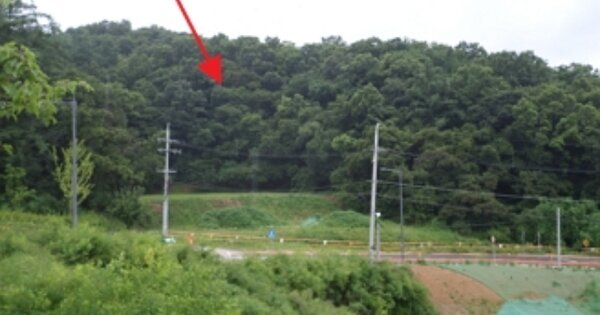 강원특별자치도 원주시 흥업면 사제리 OOOOOO 임야 경매 물건 이미지