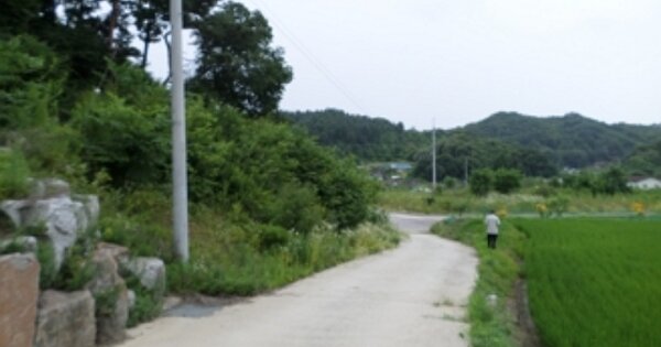 강원특별자치도 원주시 봉산동 OOOOOOO O OOO 임야 경매 물건 이미지