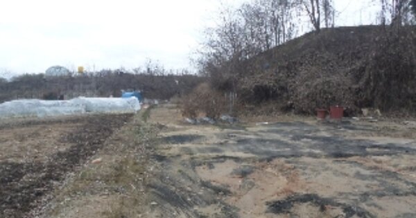 전라북도 완주군 삼례읍 삼례리 OOOOOO 전 경매 물건 이미지