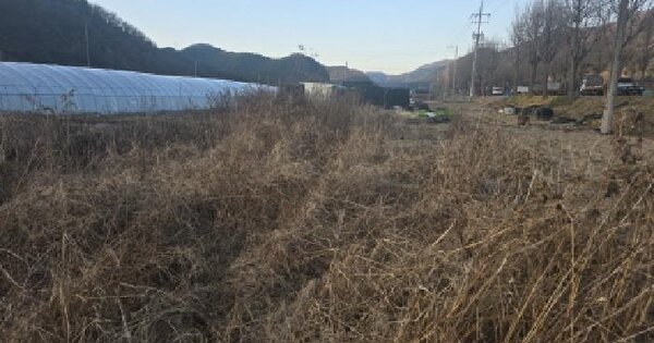 경상북도 칠곡군 동명면 금암리 1030-22 답 경매 물건 이미지