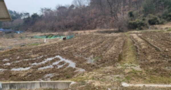 전북특별자치도 군산시 옥산면 당북리 OOOOO 전 경매 물건 이미지