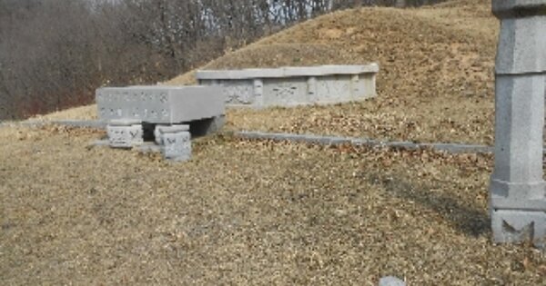 충청북도 청주시 서원구 남이면 부용외천리 OOOO 임야 경매 물건 이미지