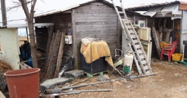 경상남도 밀양시 하남읍 백산리 1136-3 답 경매 물건 이미지