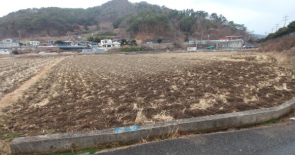 경상남도 거제시 연초면 죽토리 OOOOO 답 경매 물건 이미지