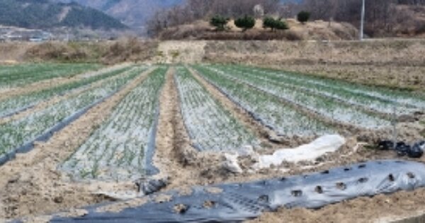 전북특별자치도 장수군 산서면 마하리 OOO 답 경매 물건 이미지