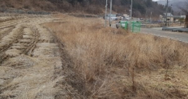 강원특별자치도 춘천시 남산면 방곡리 OOOOO 답 경매 물건 이미지
