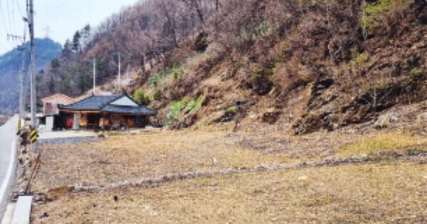 강원특별자치도 삼척시 하장면 한소리 OOOOO 전 경매 물건 이미지