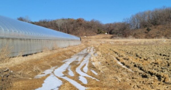 경기도 파주시 조리읍 장곡리 OOOOO 답 경매 물건 이미지