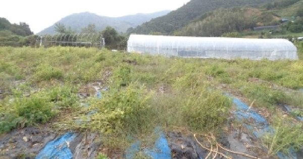 전북특별자치도 무주군 부남면 장안리 1247 전 경매 물건 이미지