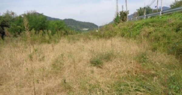 전북특별자치도 무주군 부남면 장안리 1289-6 답 경매 물건 이미지