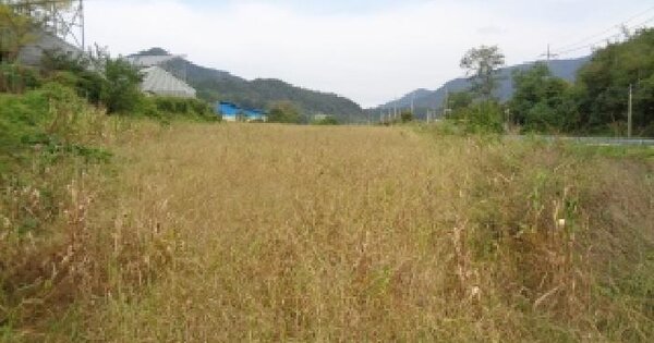 전북특별자치도 무주군 부남면 장안리 1716-2 답 경매 물건 이미지