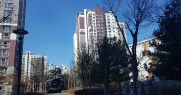 세종특별자치시 한솔동 974, 603동 OOOOOOOO OOOOOOOOOOOO O OOO 아파트 경매 물건 이미지