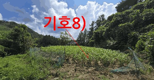 전북특별자치도 무주군 무풍면 금평리 814-5 전 경매 물건 이미지