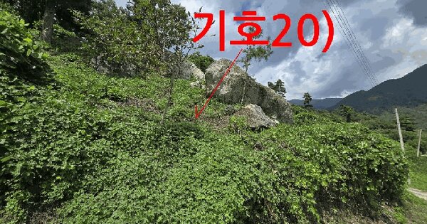 전북특별자치도 무주군 무풍면 금평리 산39-1 임야 경매 물건 이미지