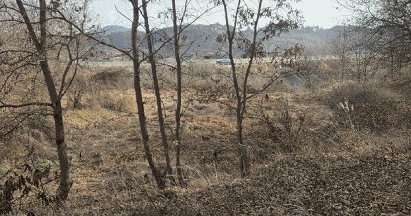 전북특별자치도 남원시 주생면 영천리 325 전 경매 물건 이미지