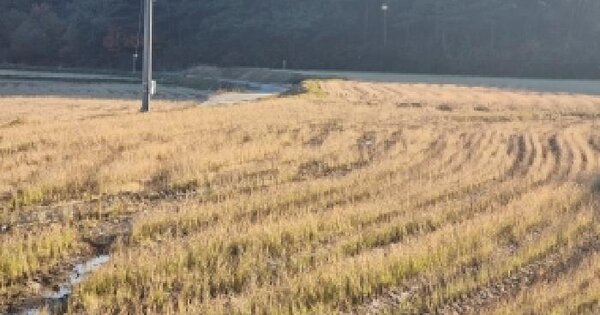 전북특별자치도 남원시 운봉읍 권포리 1195-5 답 경매 물건 이미지