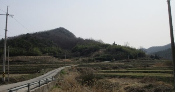전라남도 영암군 금정면 쌍효리 OOOOO 임야 경매 물건 이미지