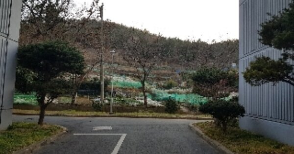 전라남도 여수시 여서동 OOO 답 경매 물건 이미지