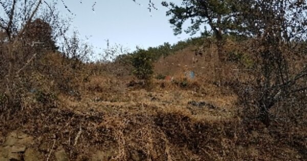 전라남도 여수시 연등동 OOO 전 경매 물건 이미지