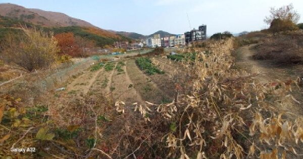 경상남도 거제시 동부면 학동리 453 답 경매 물건 이미지