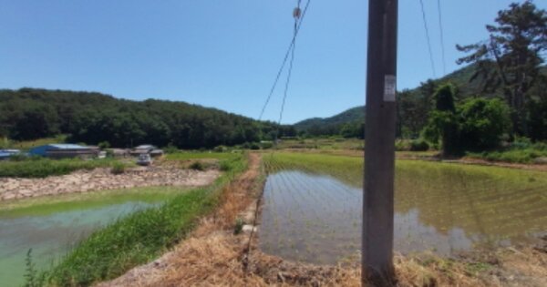 경상남도 고성군 거류면 거산리 OOOOO 답 경매 물건 이미지