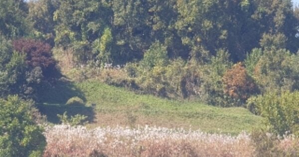 충청북도 충주시 중앙탑면 가흥리 OOO 전 경매 물건 이미지