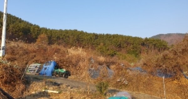 경상남도 창원시 마산합포구 현동 OOO 답 경매 물건 이미지