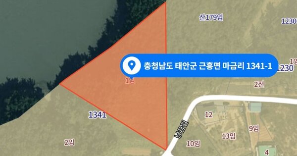 충청남도 태안군 근흥면 마금리 OOOOOO O OOO 임야 경매 물건 이미지