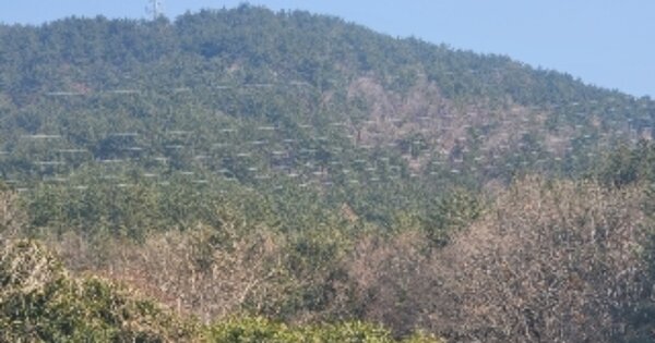 경상남도 거제시 둔덕면 상둔리 OOOOO 임야 경매 물건 이미지