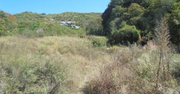 충청북도 충주시 소태면 오량리 OOO O OOO 답 경매 물건 이미지