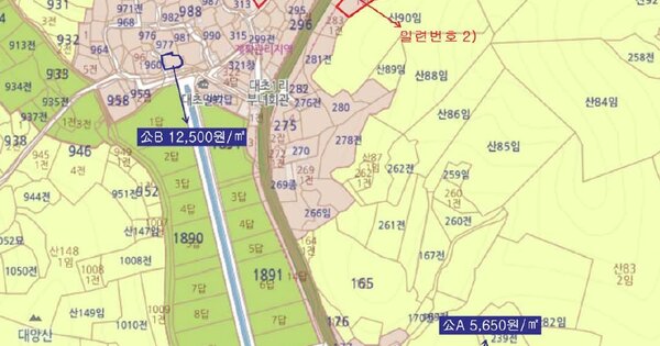 전라남도 신안군 증도면 대초리 OOO O OOO 전 경매 물건 이미지