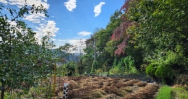 경기도 광주시 초월읍 학동리 OOOOOO O OOO 답 경매 물건 이미지