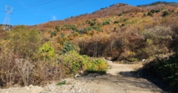 경기도 광주시 곤지암읍 봉현리 OOO 전 경매 물건 이미지