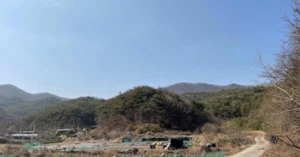 경상북도 상주시 화북면 운흥리 OOOOOO O OOO 임야 경매 물건 이미지