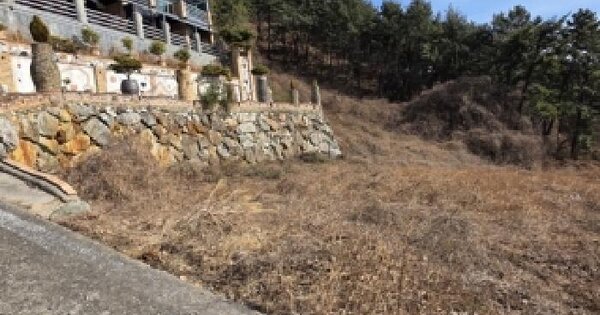 경상남도 남해군 서면 작장리 636 전 경매 물건 이미지