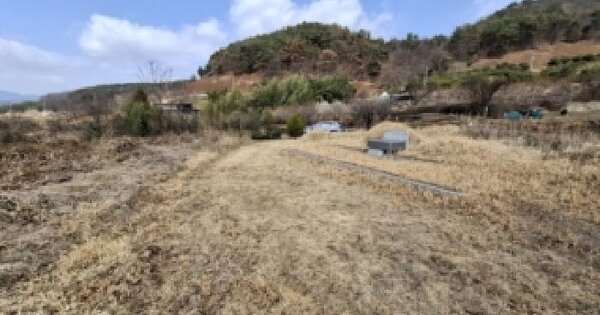 경상남도 하동군 고전면 신월리 516 전 경매 물건 이미지