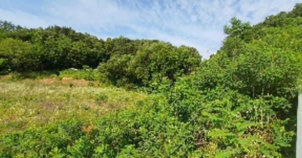 충북 영동군 심천면 구탄리 OOO 전 경매 물건 이미지