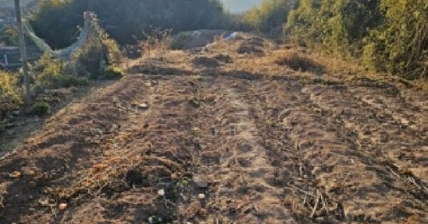 경상남도 진주시 사봉면 마성리 1130 전 경매 물건 이미지