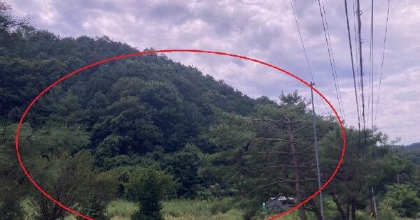 충청북도 제천시 봉양읍 연박리 OOO O OOO 임야 경매 물건 이미지