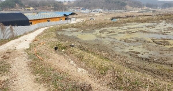 충청북도 음성군 소이면 비산리 OOO 답 경매 물건 이미지
